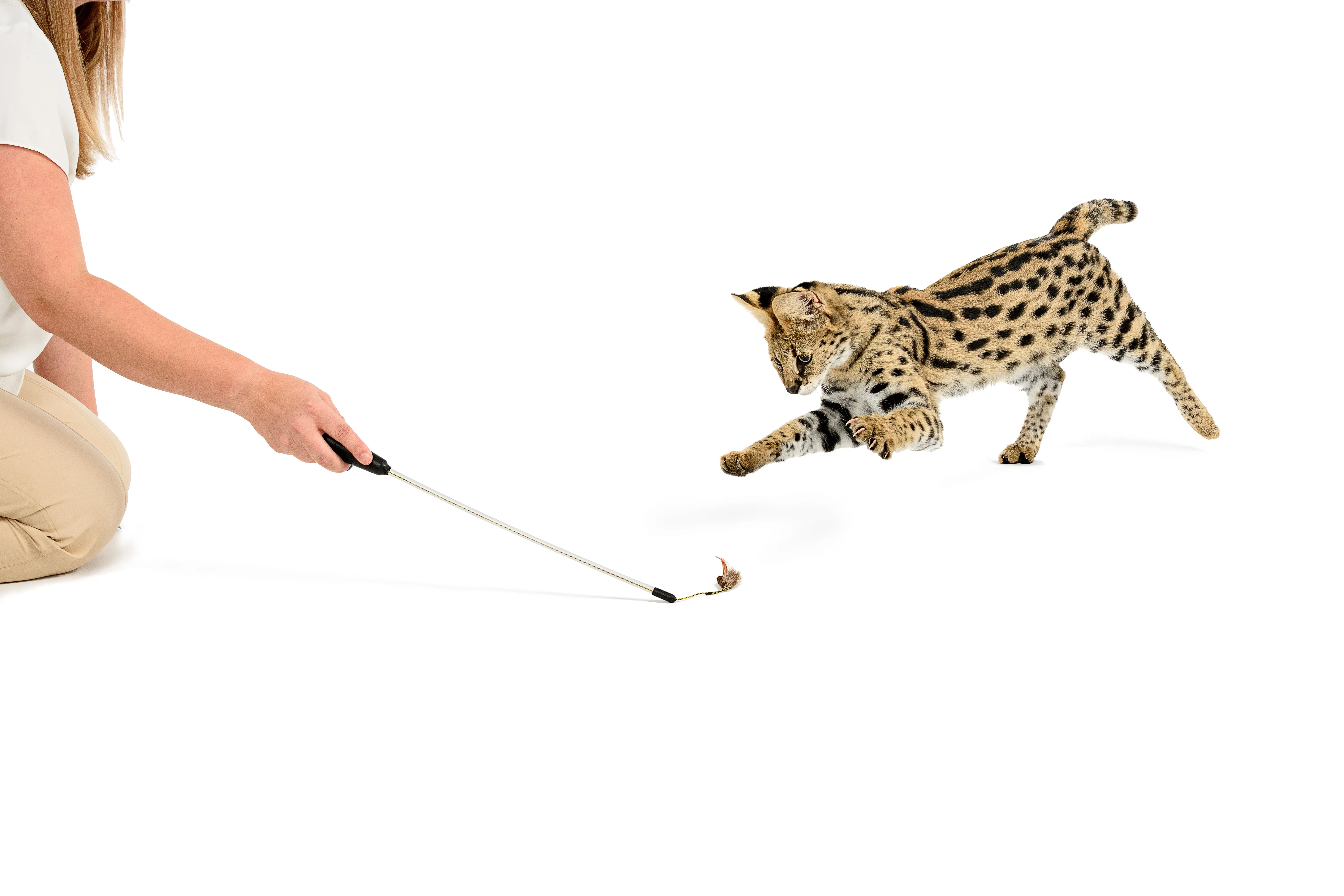 Adjustable String Wand Toy - Bug