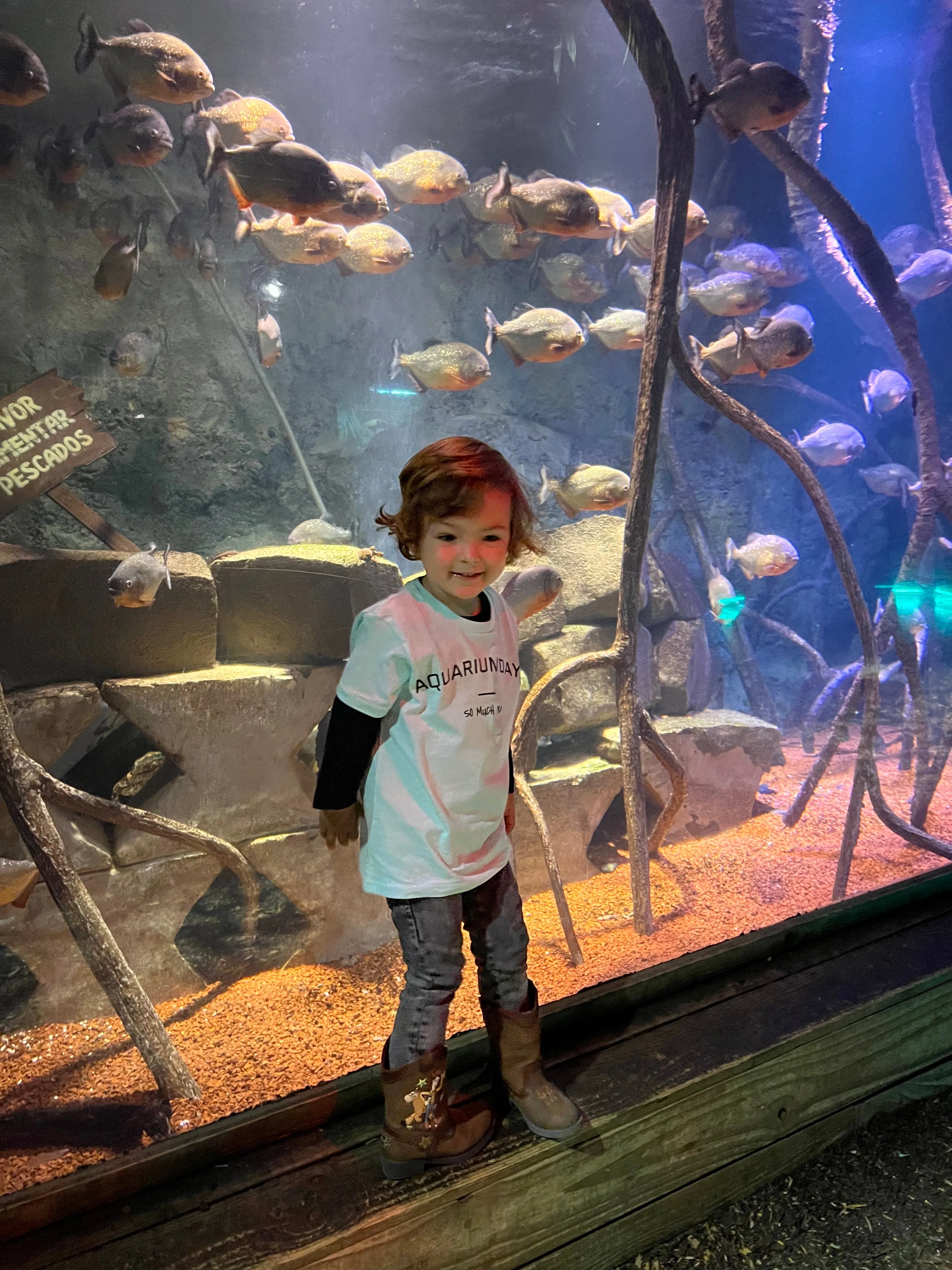 AQUARIUM DAYS SO MUCH FUN - Organic Kids T-Shirt
