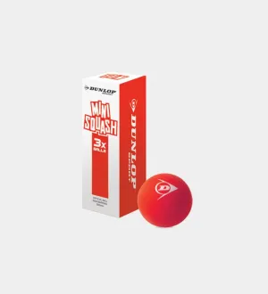 Dunlop Fun game Squash