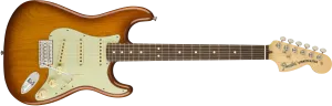 FENDER American Performer Stratocaster® RW Honey Burst