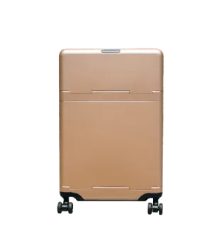 Golden Brush Carry-On Case - With Fabric Accessories