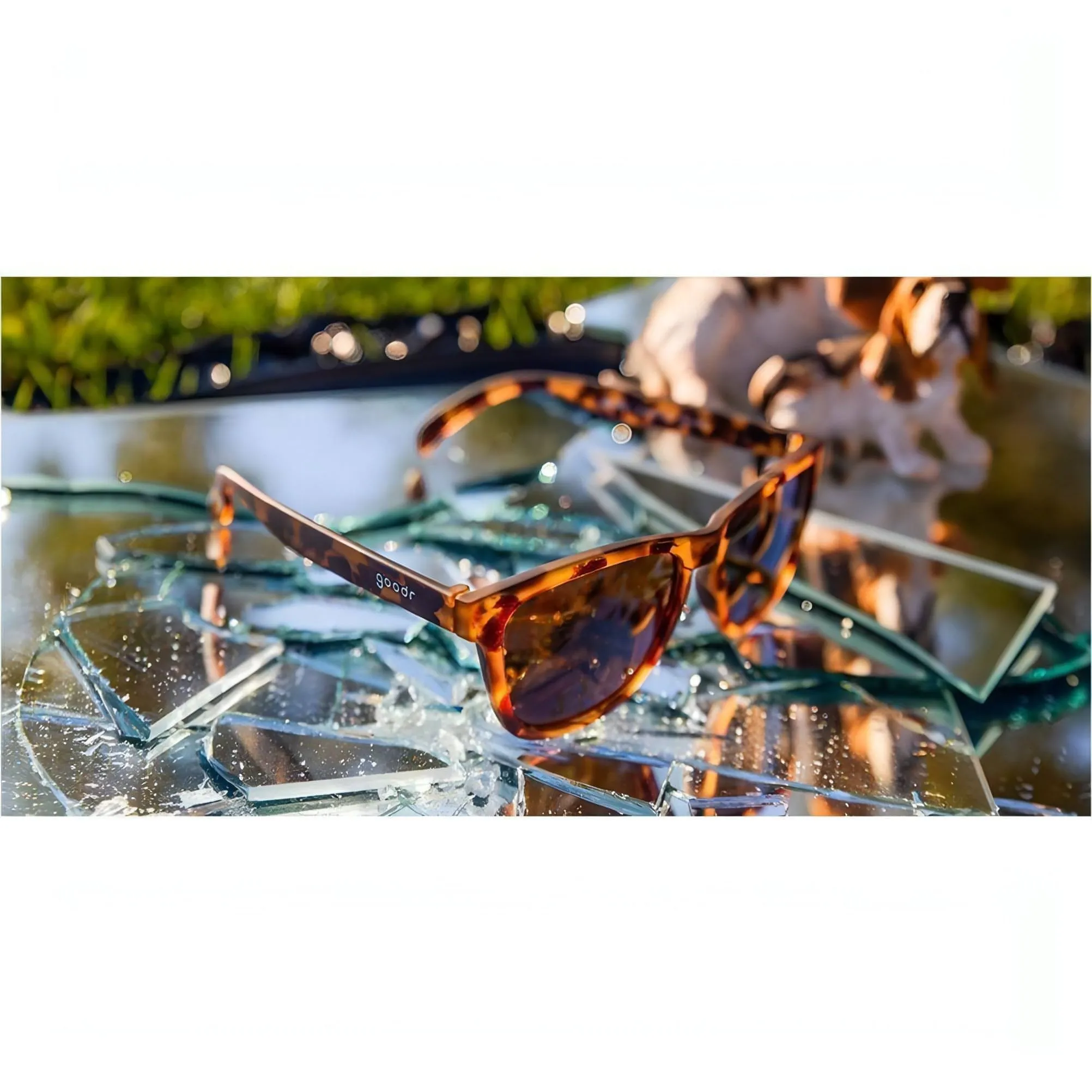 Goodr Bosleys Basset Hound Dreams Running Sunglasses