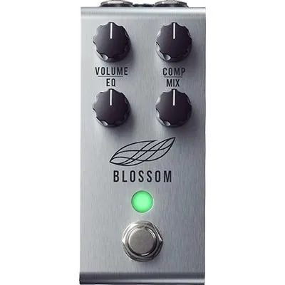 JACKSON AUDIO Blossom
