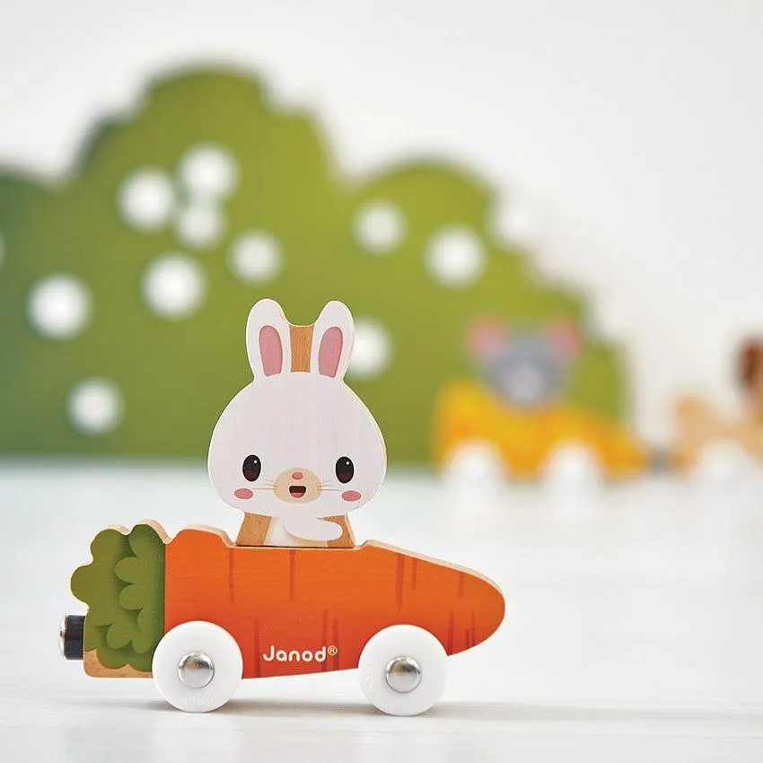 Magnetic Pet Cars