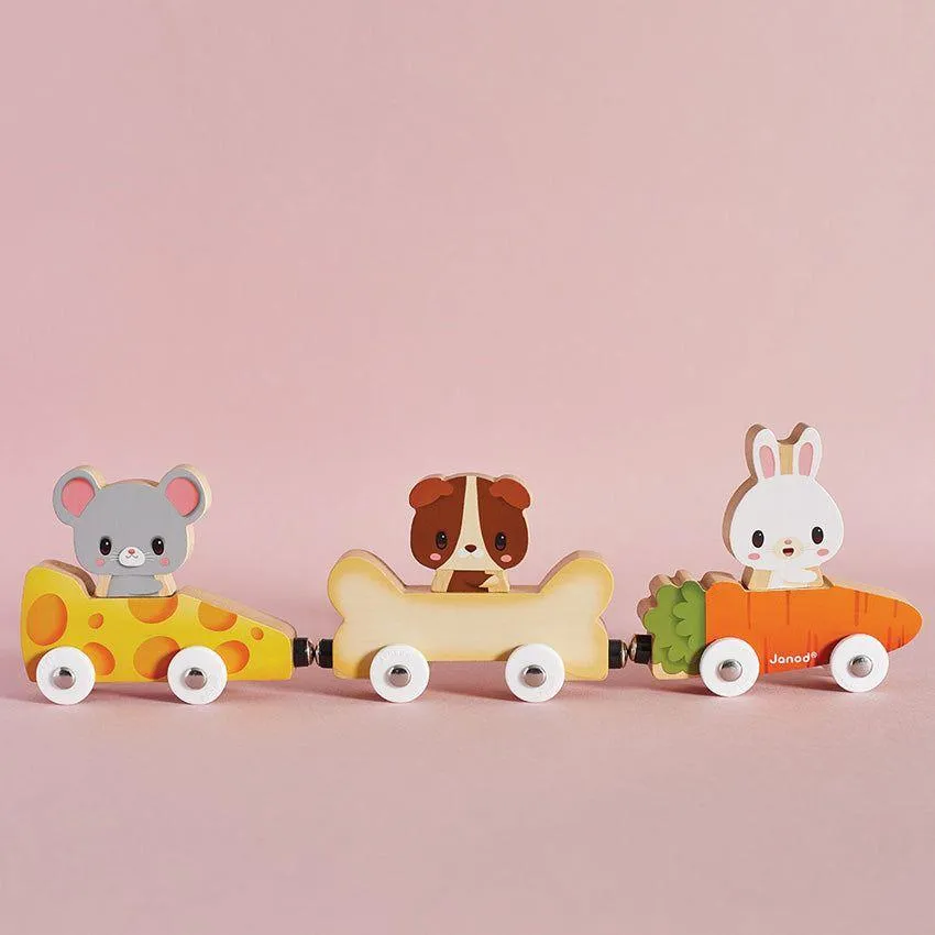 Magnetic Pet Cars