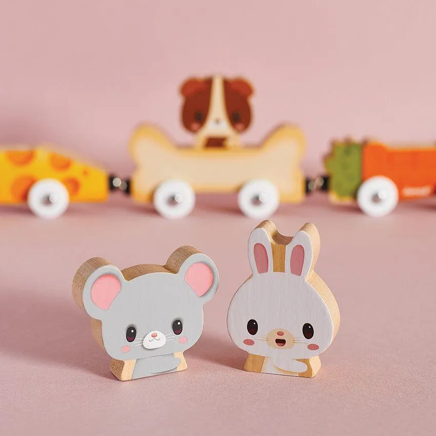 Magnetic Pet Cars