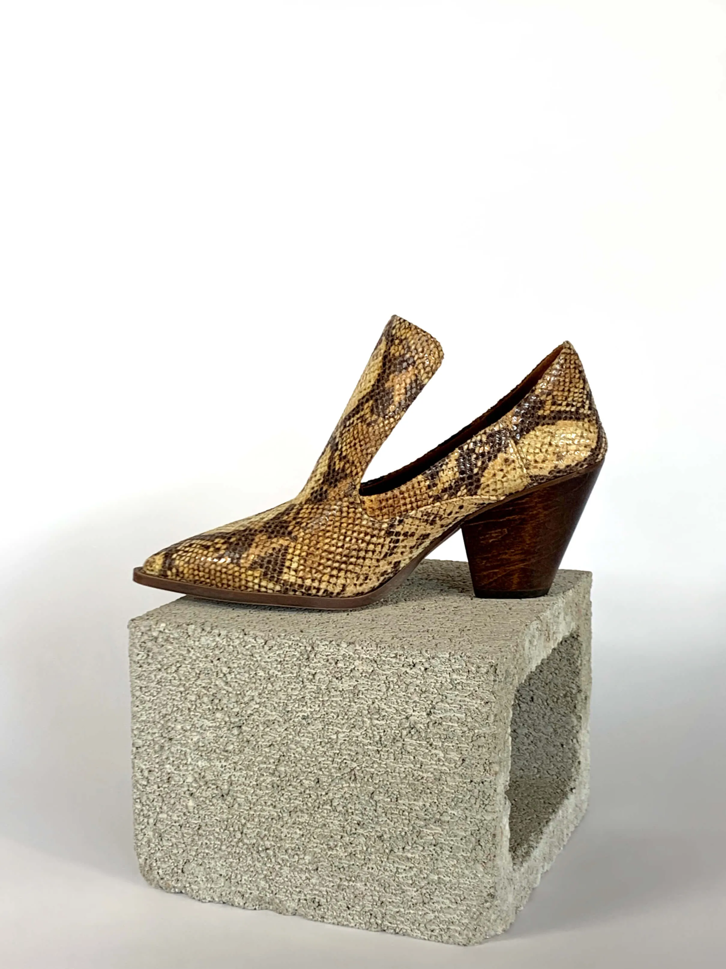 Marianne - Golden Python