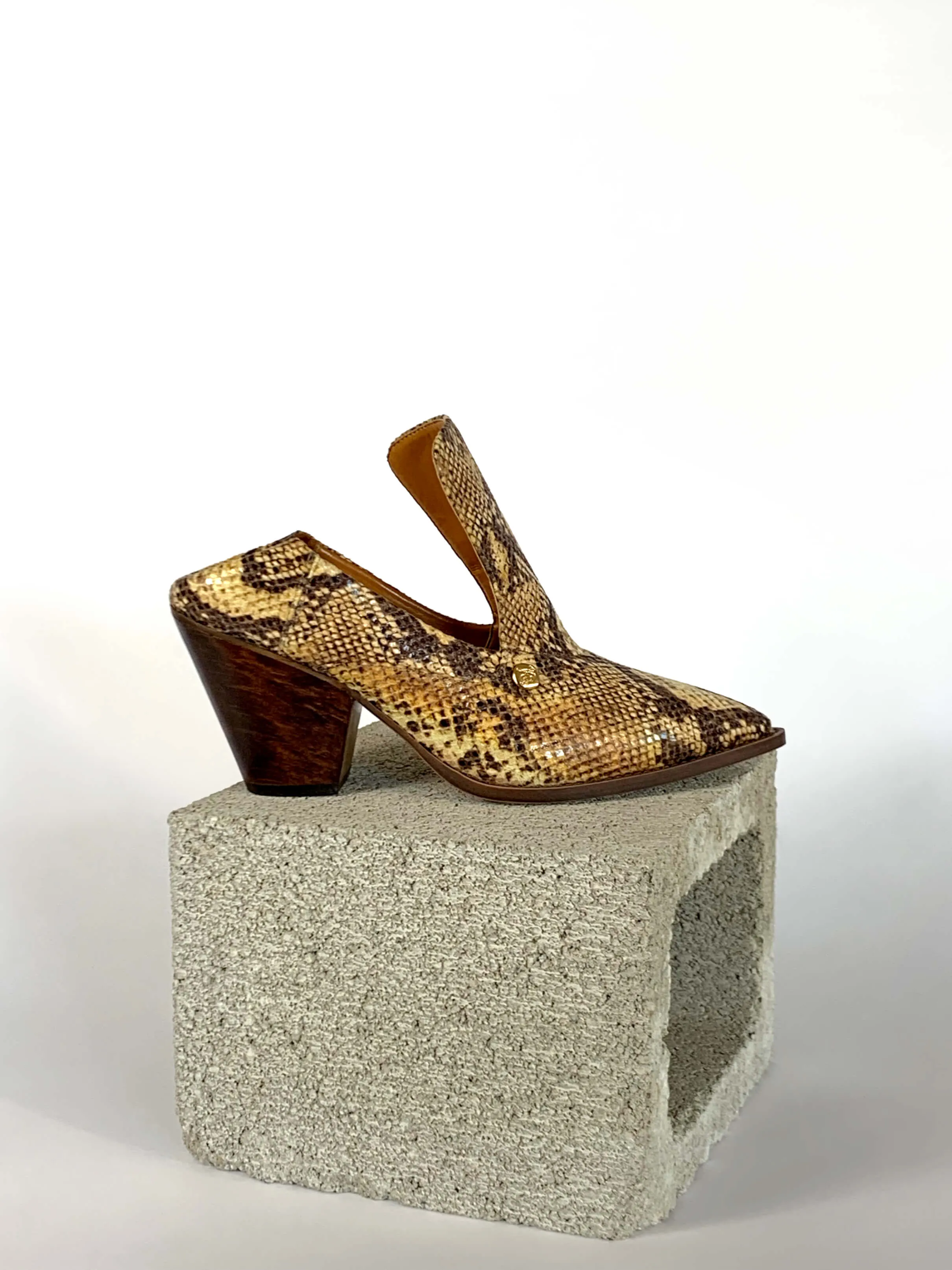 Marianne - Golden Python