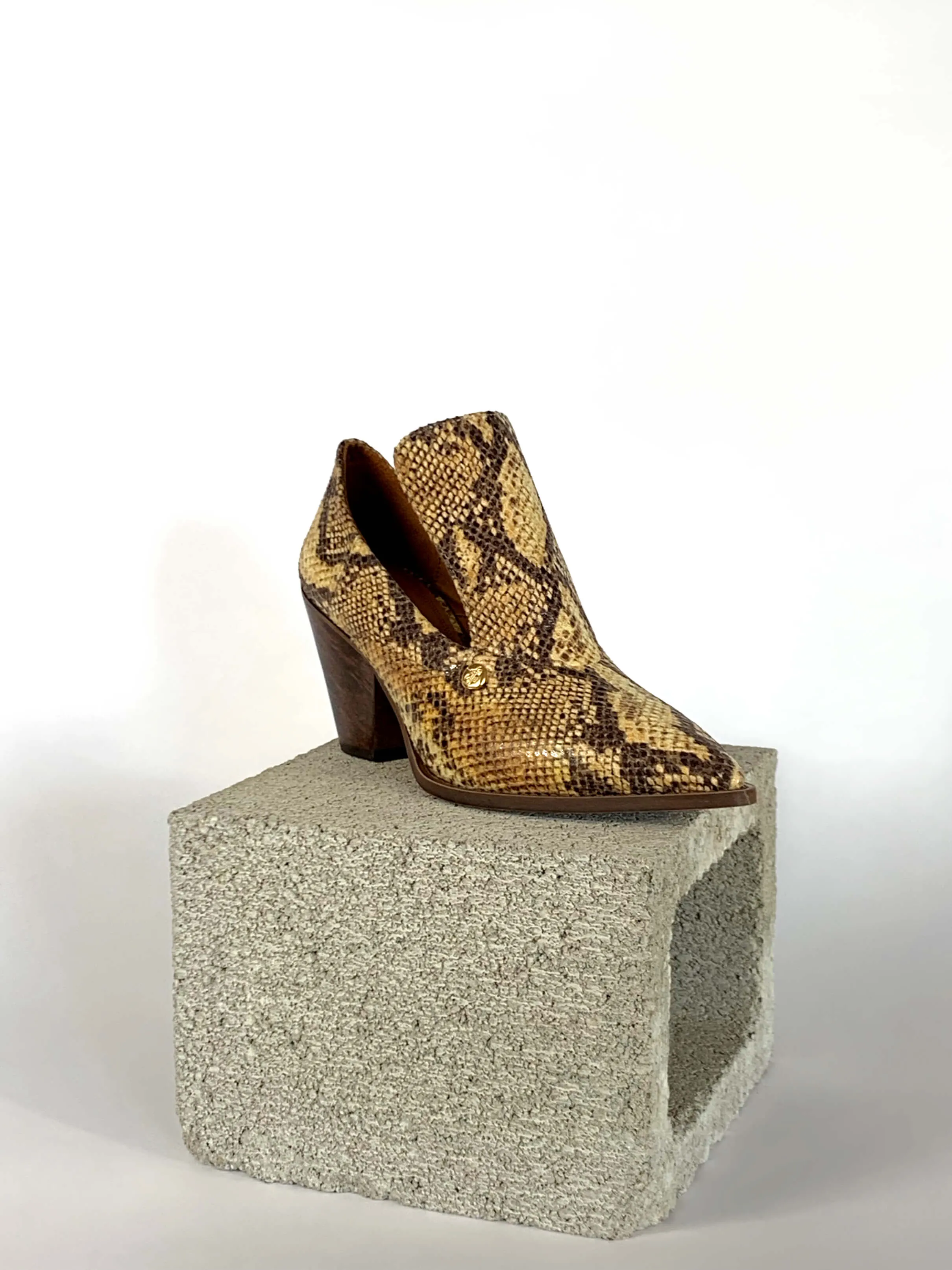 Marianne - Golden Python