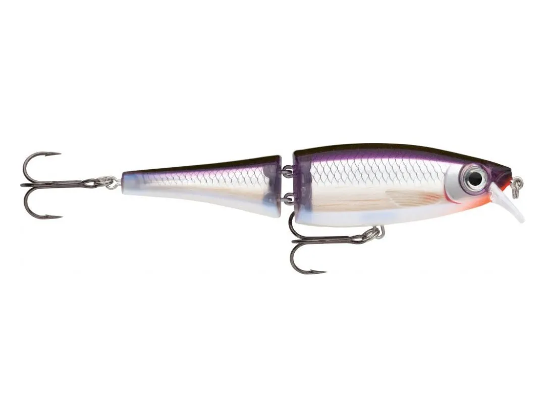 Rapala BX Swimmer