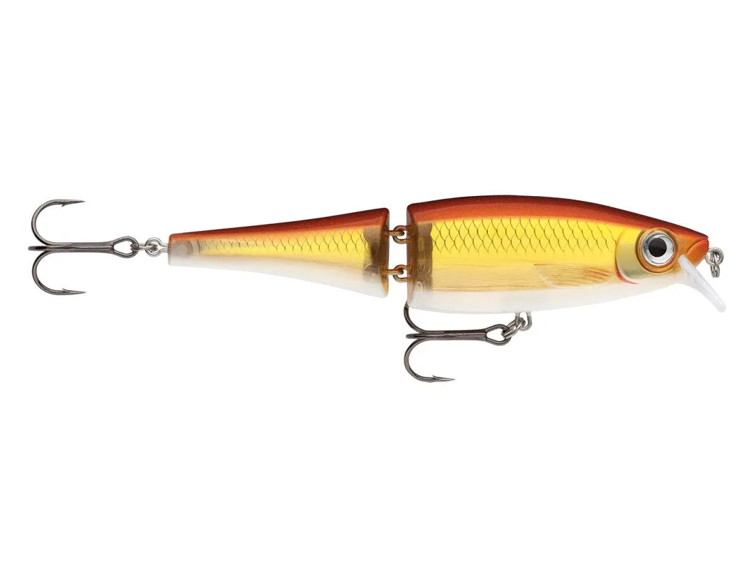 Rapala BX Swimmer