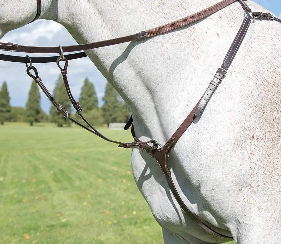 Shires Avignon Breastplate