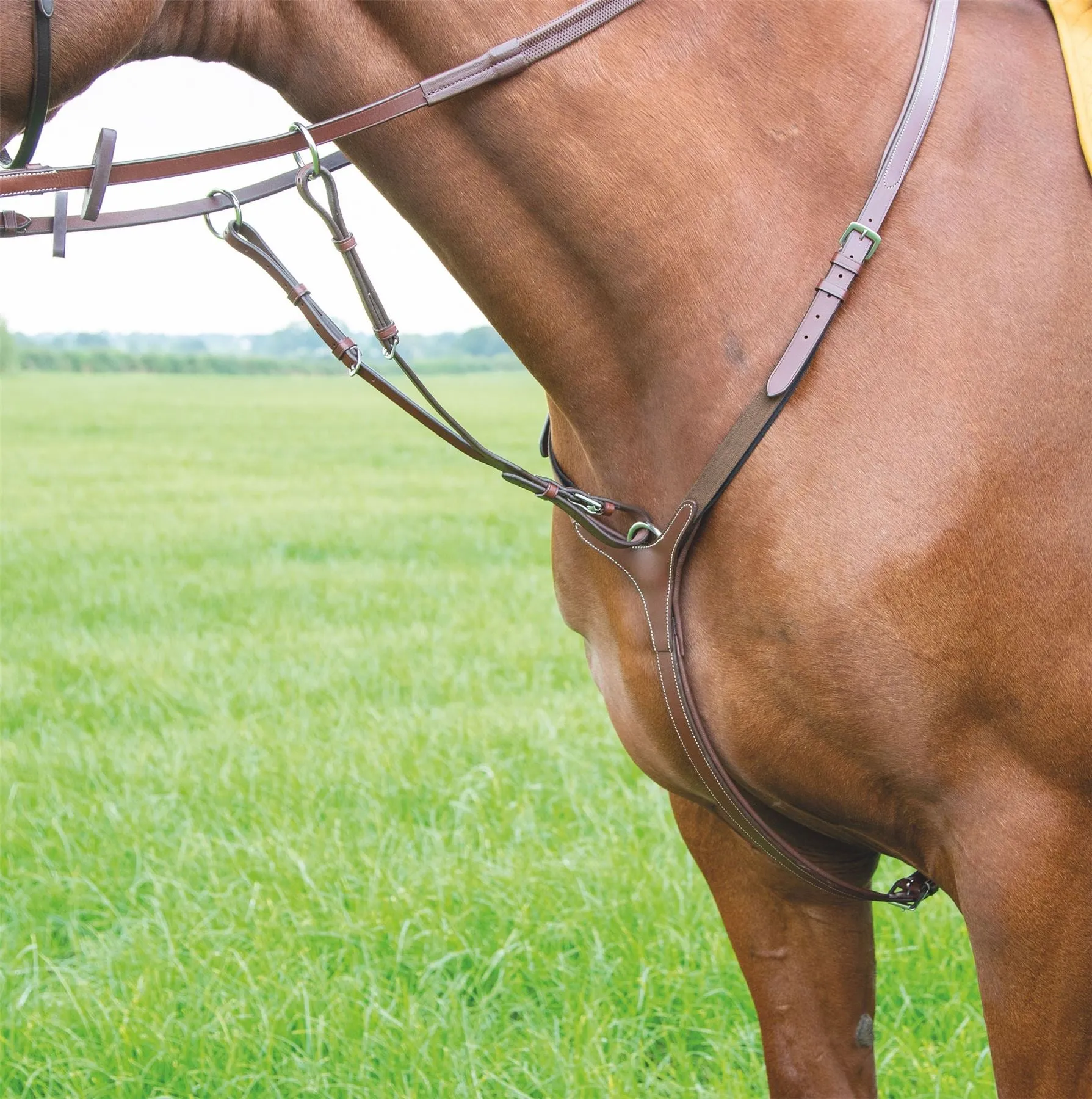 Shires Avignon Breastplate