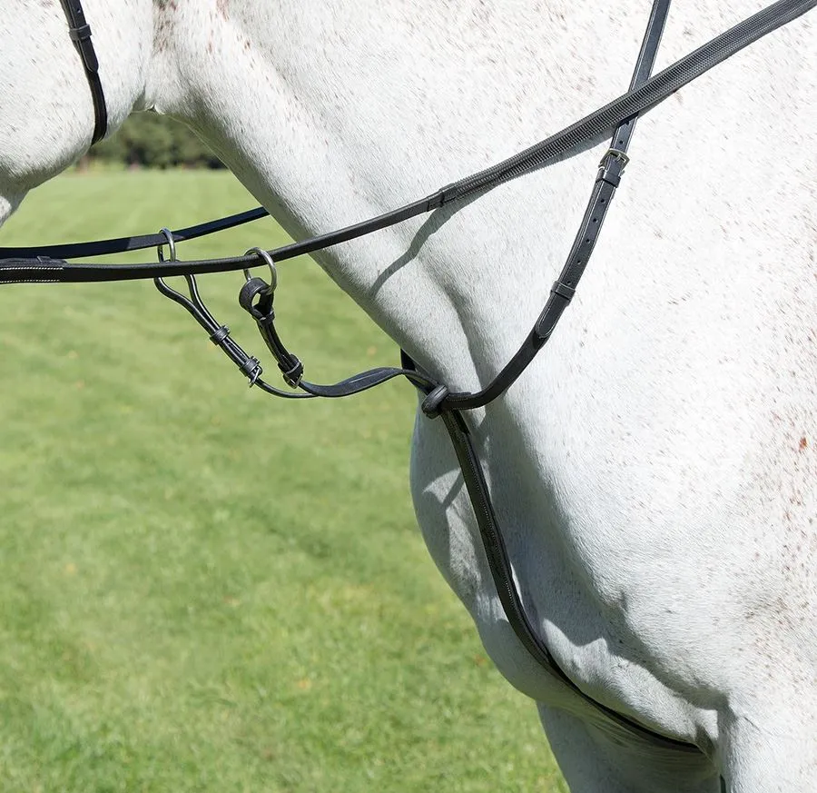 Shires Avignon Breastplate