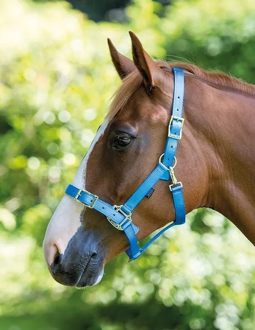 Shires Pro Adjustable Headcollar