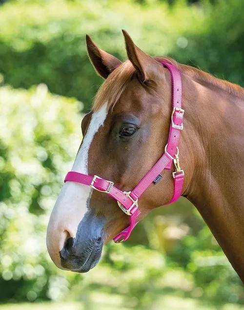 Shires Pro Adjustable Headcollar