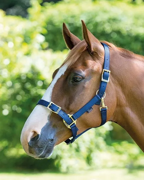 Shires Pro Adjustable Headcollar