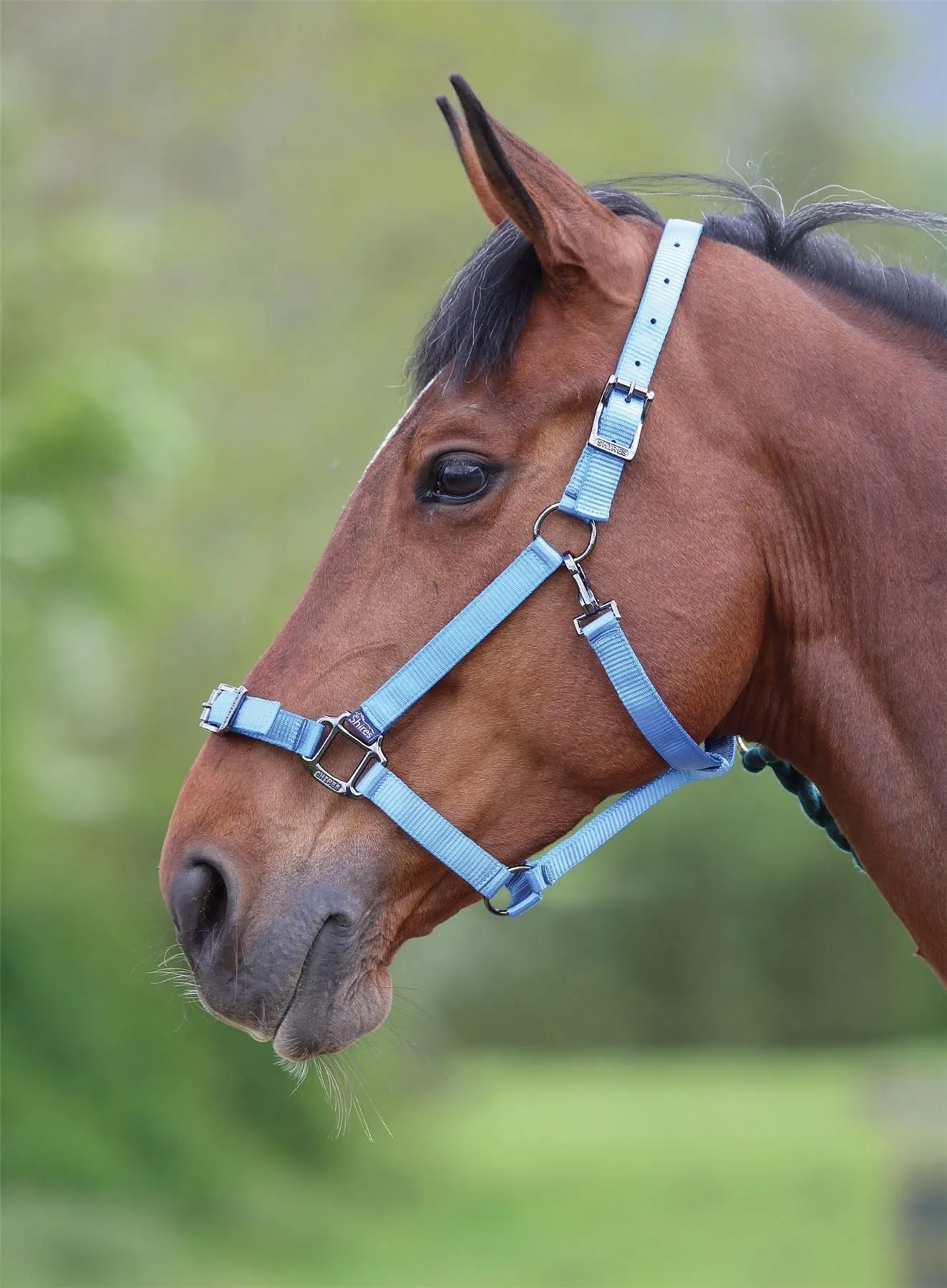 Shires Pro Adjustable Headcollar
