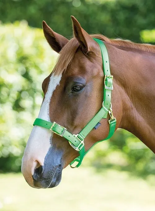 Shires Pro Adjustable Headcollar