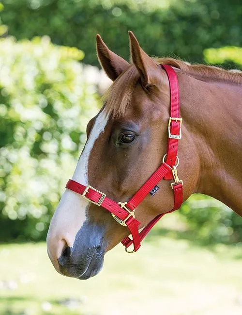 Shires Pro Adjustable Headcollar