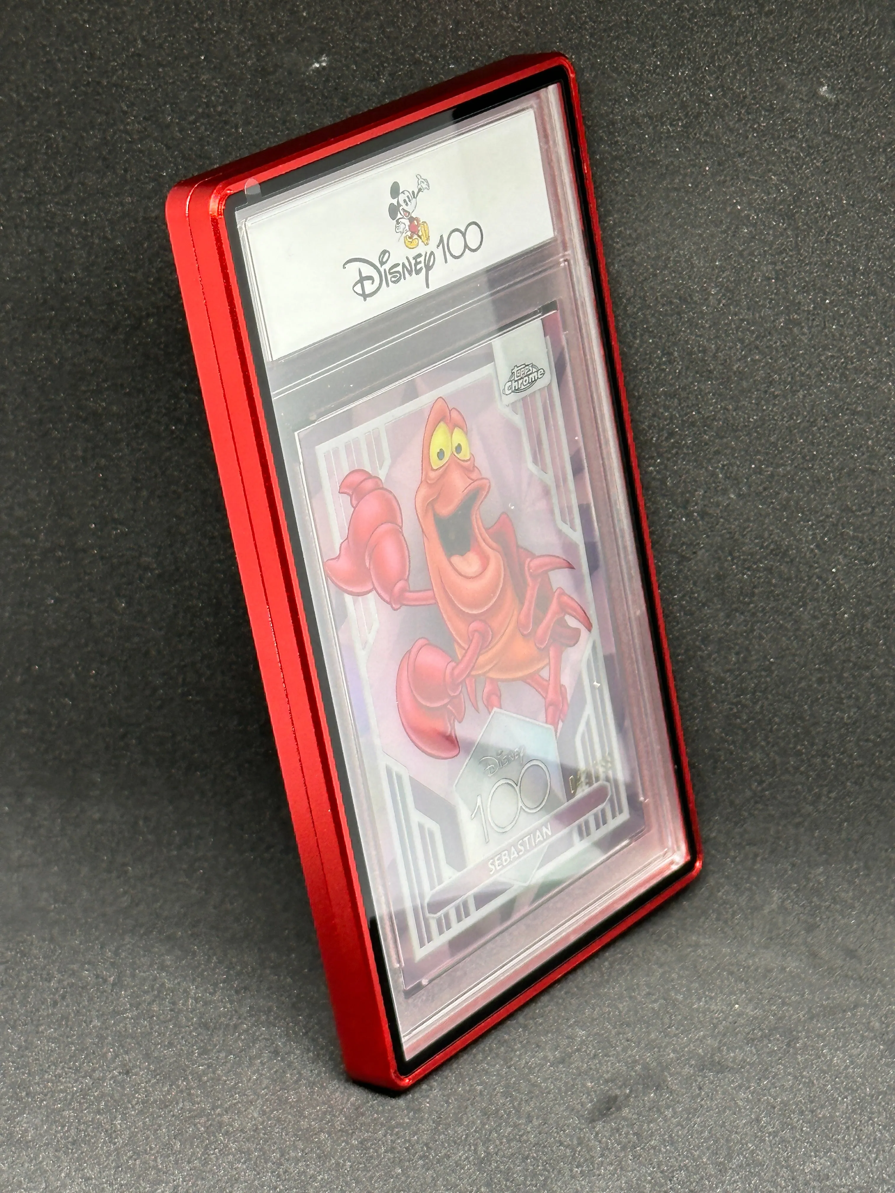 Slab Metal Aluminum and Glass Protective Case (1 Holder) for 35pt, 55pt & 75pt slabs