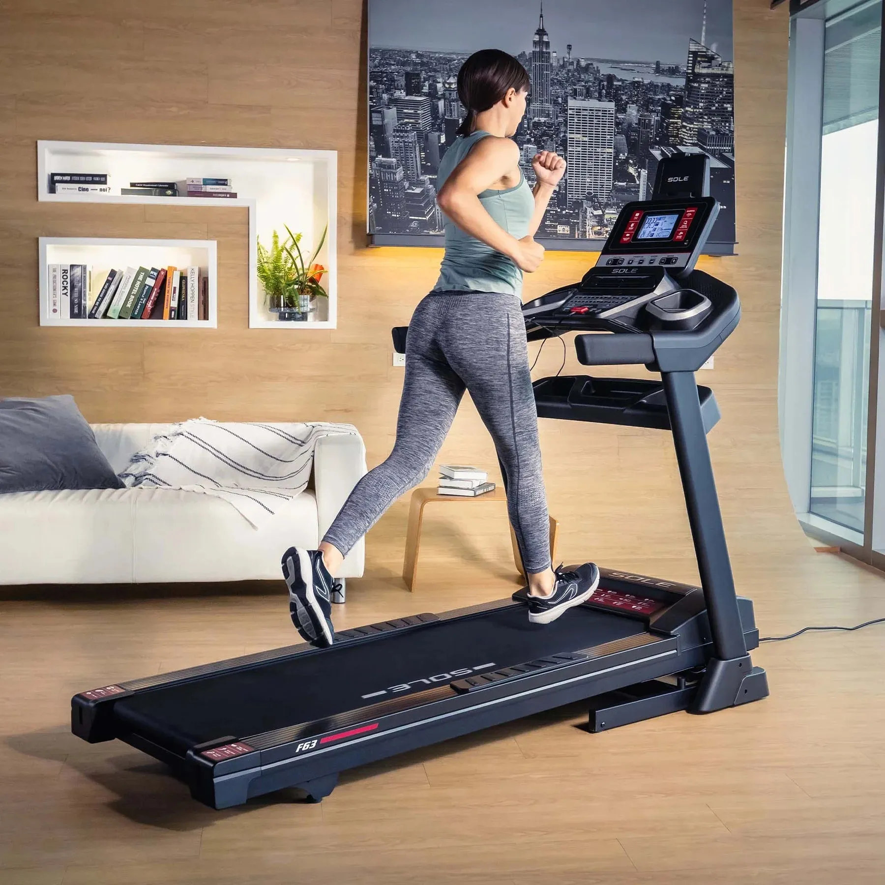 Sole F63 Treadmill