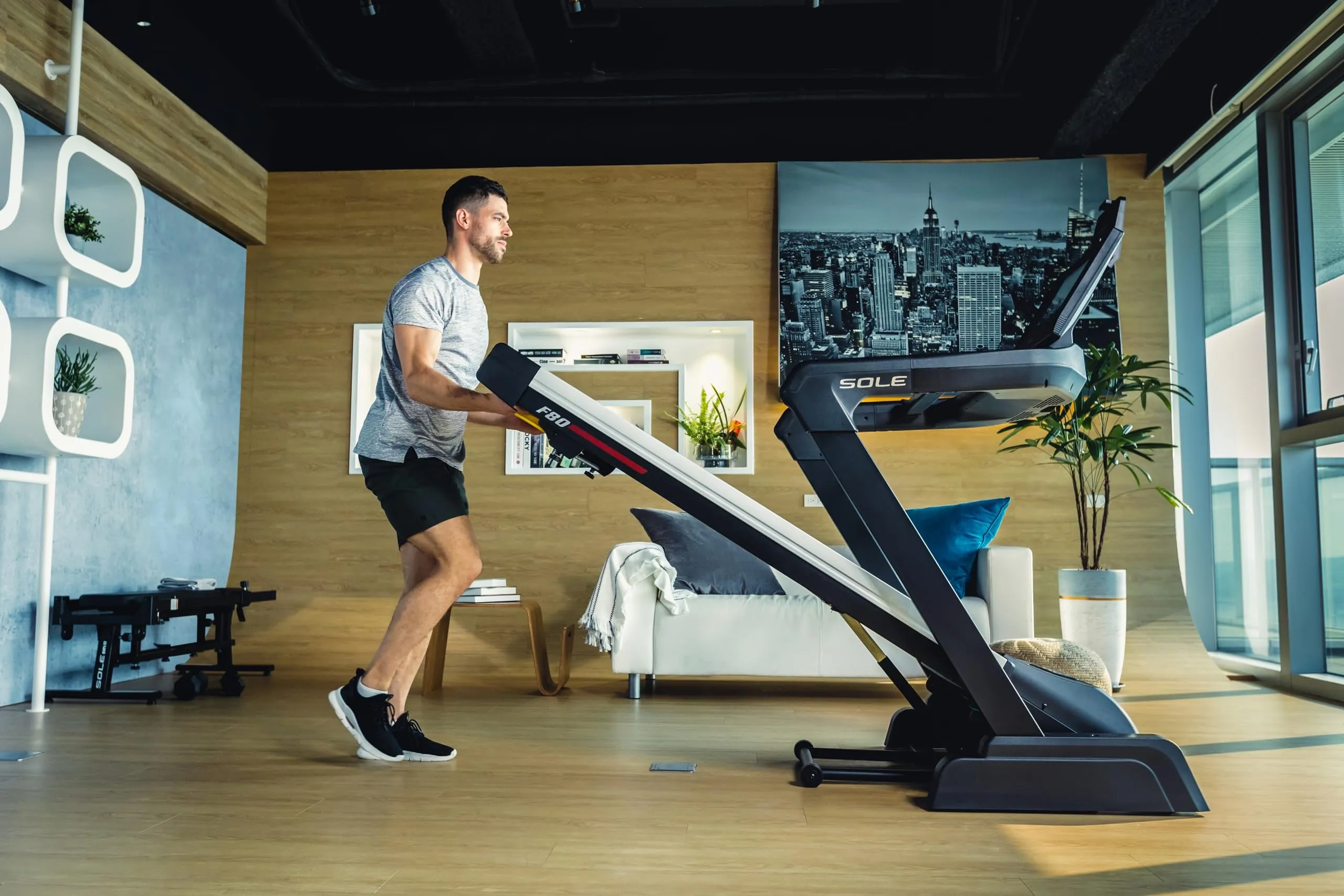 Sole F80 Treadmill, Foldable Treadmills for Home Use, Bluetooth, Touch Screen, Treadmill Foldable, Treadmills for Home with Incline, Home Exercise Treadmill (Sole F80)