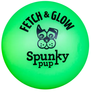 Spunky Fetch & Glow Ball Dog Toy
