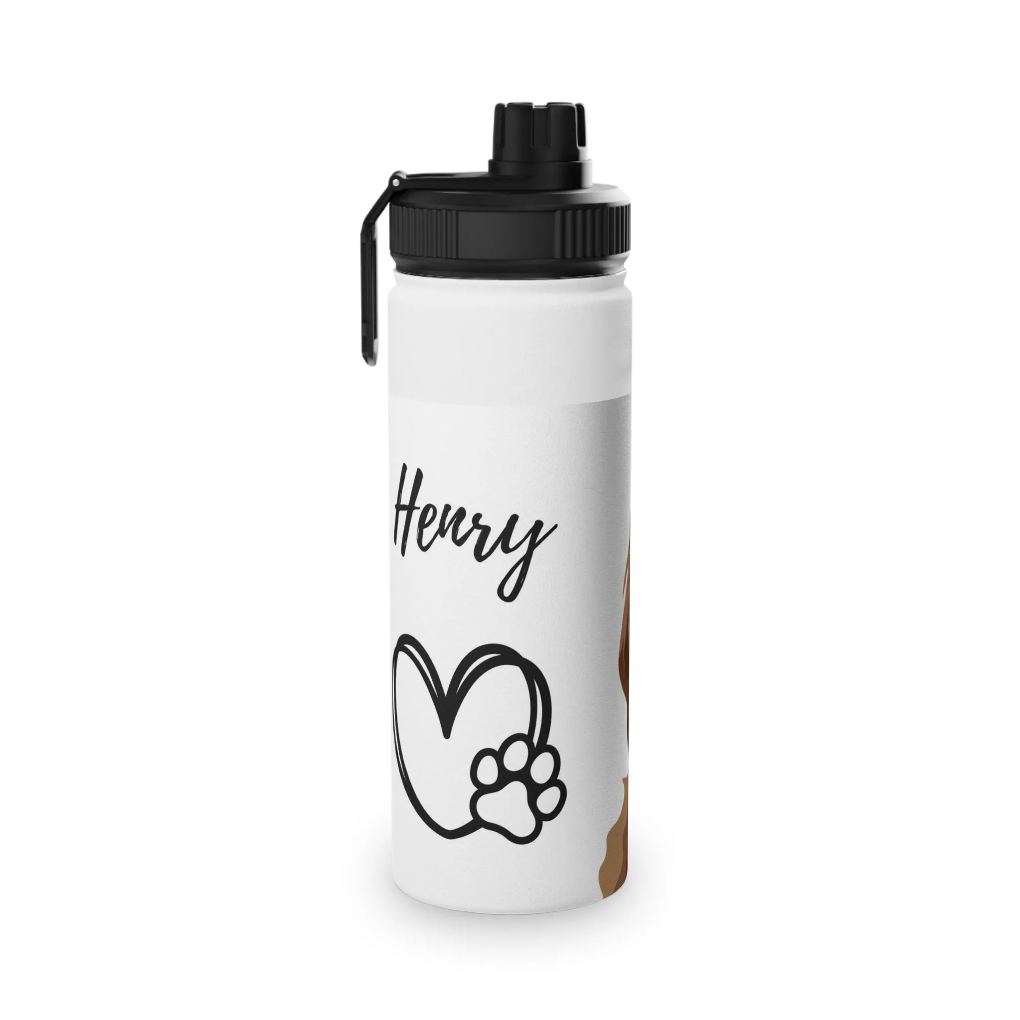 Stainless Steel Water Bottle, Sports Lid
