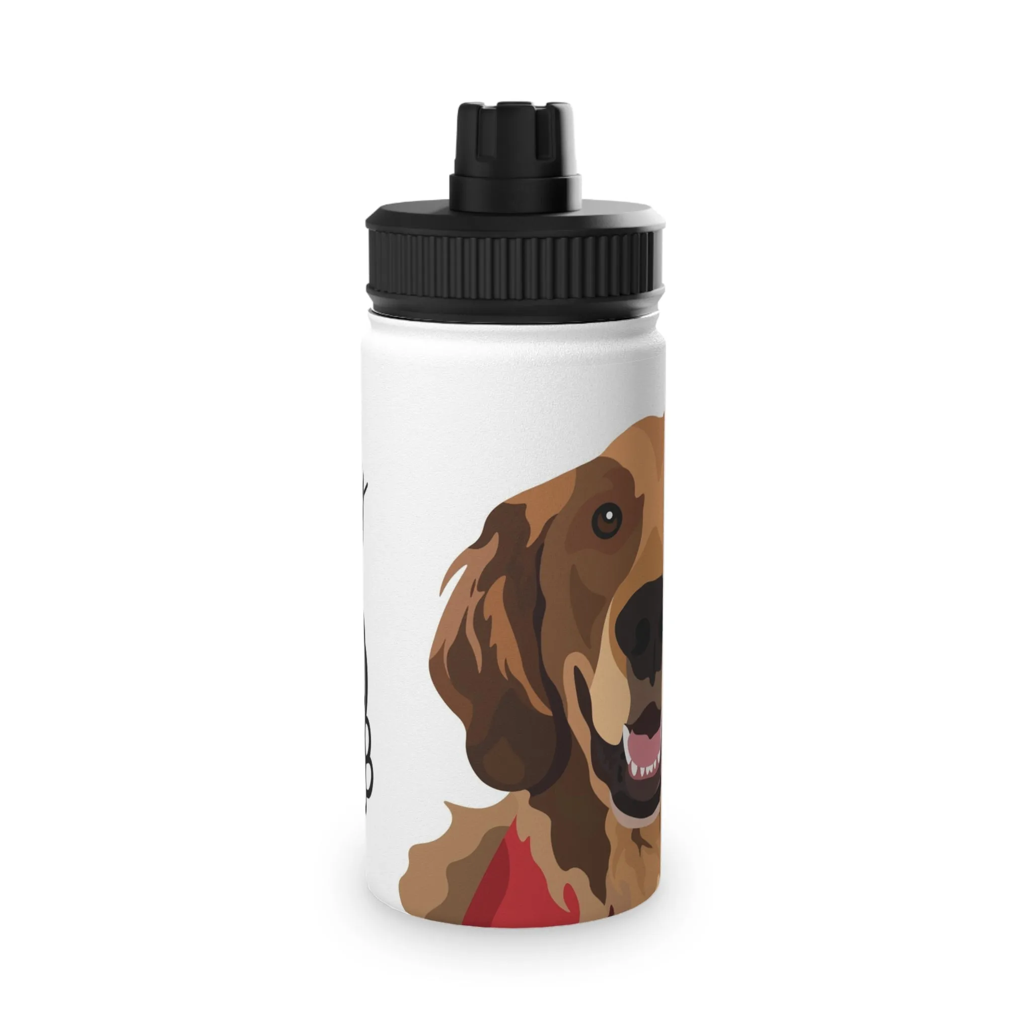 Stainless Steel Water Bottle, Sports Lid