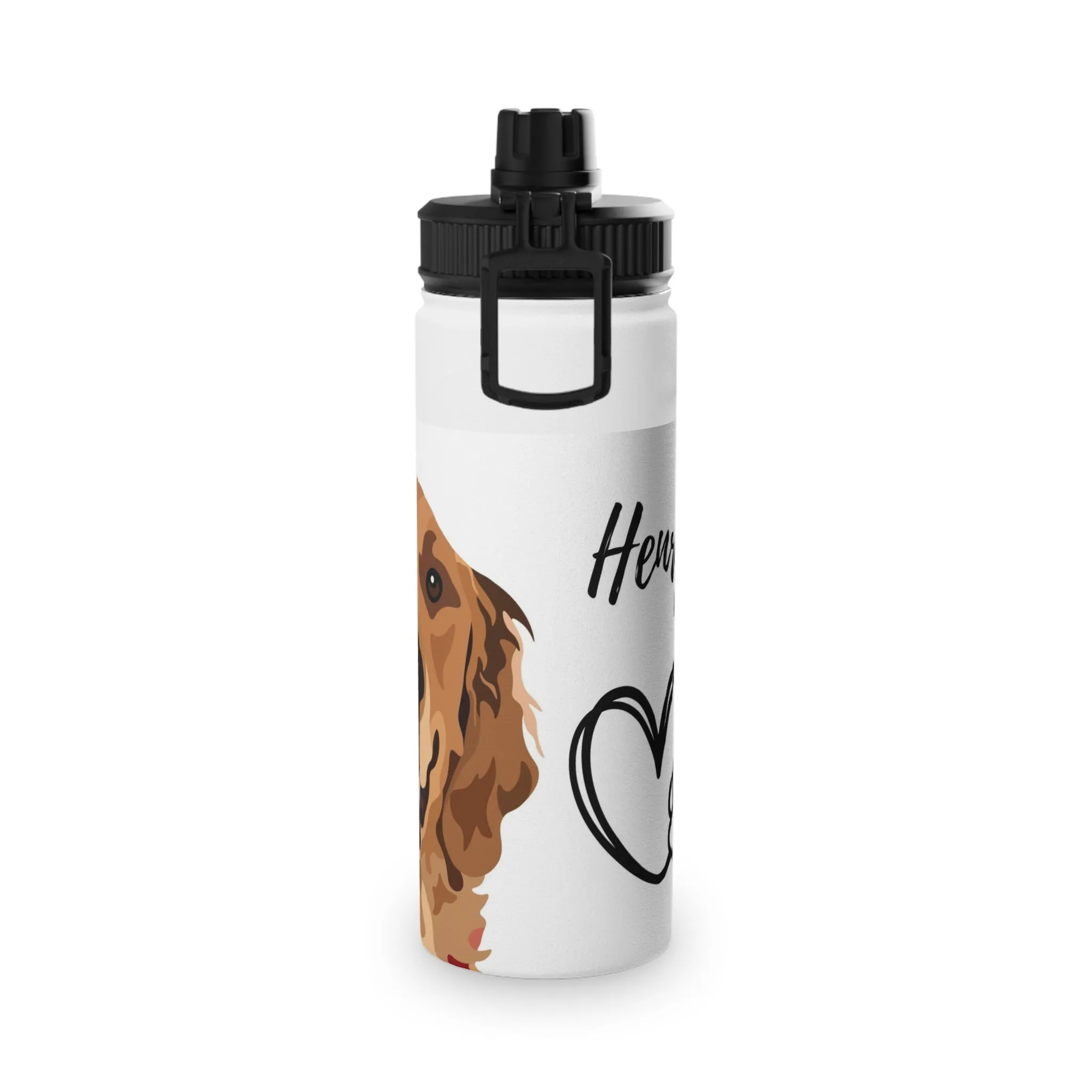 Stainless Steel Water Bottle, Sports Lid
