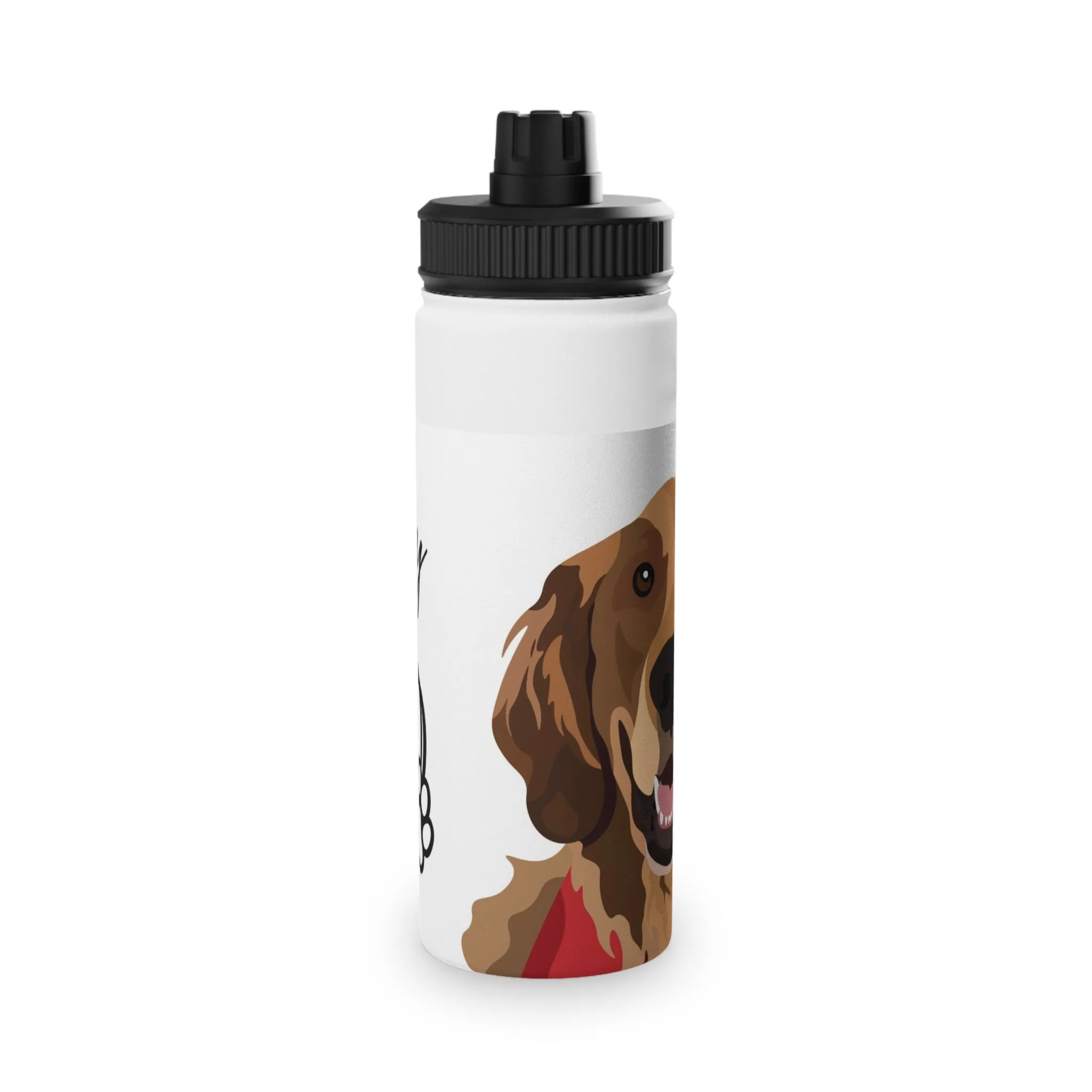 Stainless Steel Water Bottle, Sports Lid