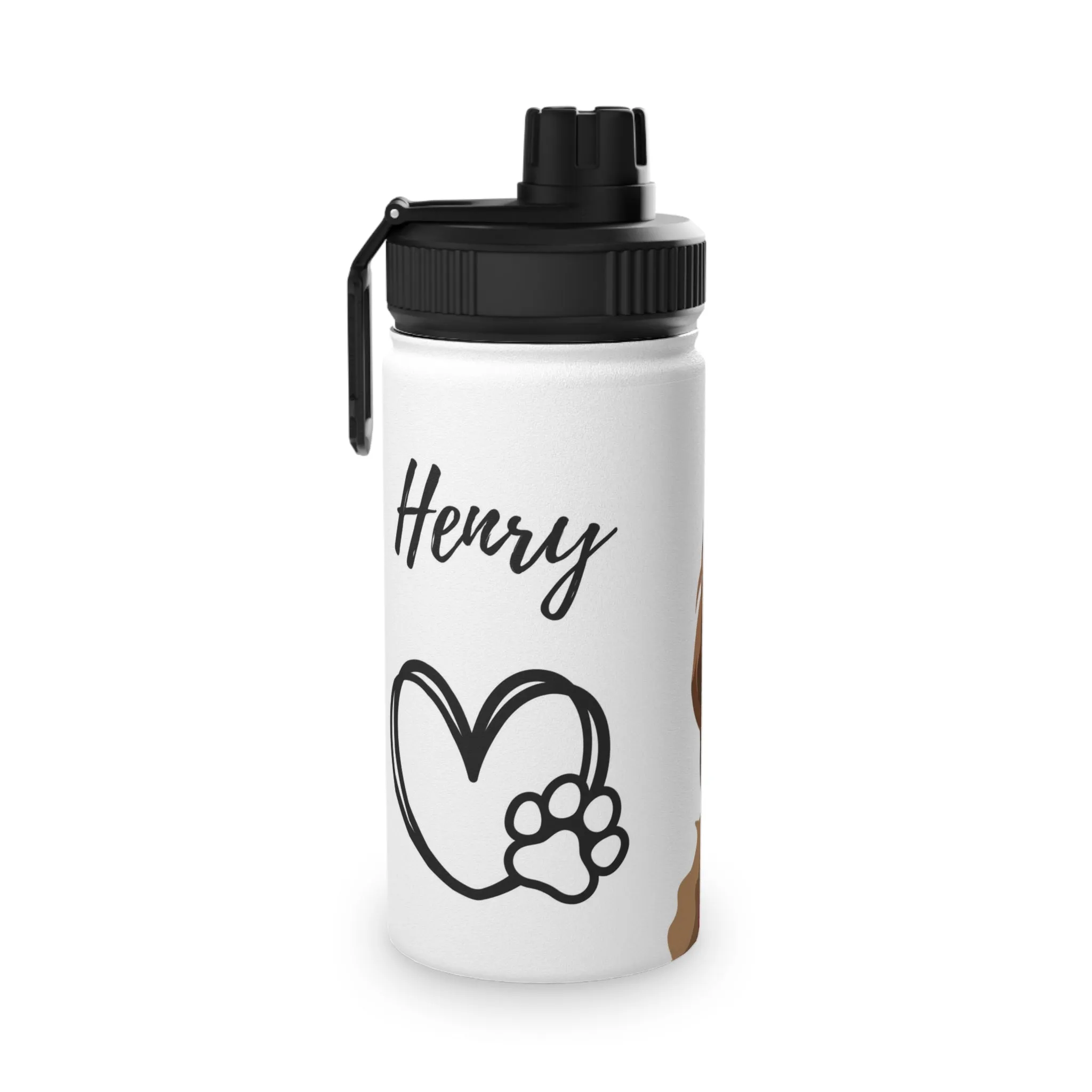 Stainless Steel Water Bottle, Sports Lid