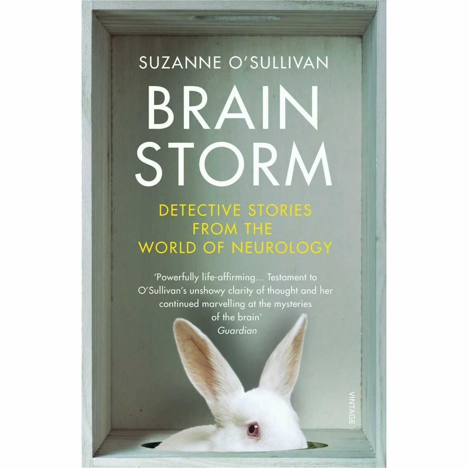 Suzanne O'Sullivan 3 books collections set Sleeping Beauties,Brainstorm