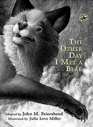 THE OTHER DAY I MET A BEAR PICTURE BOOK
