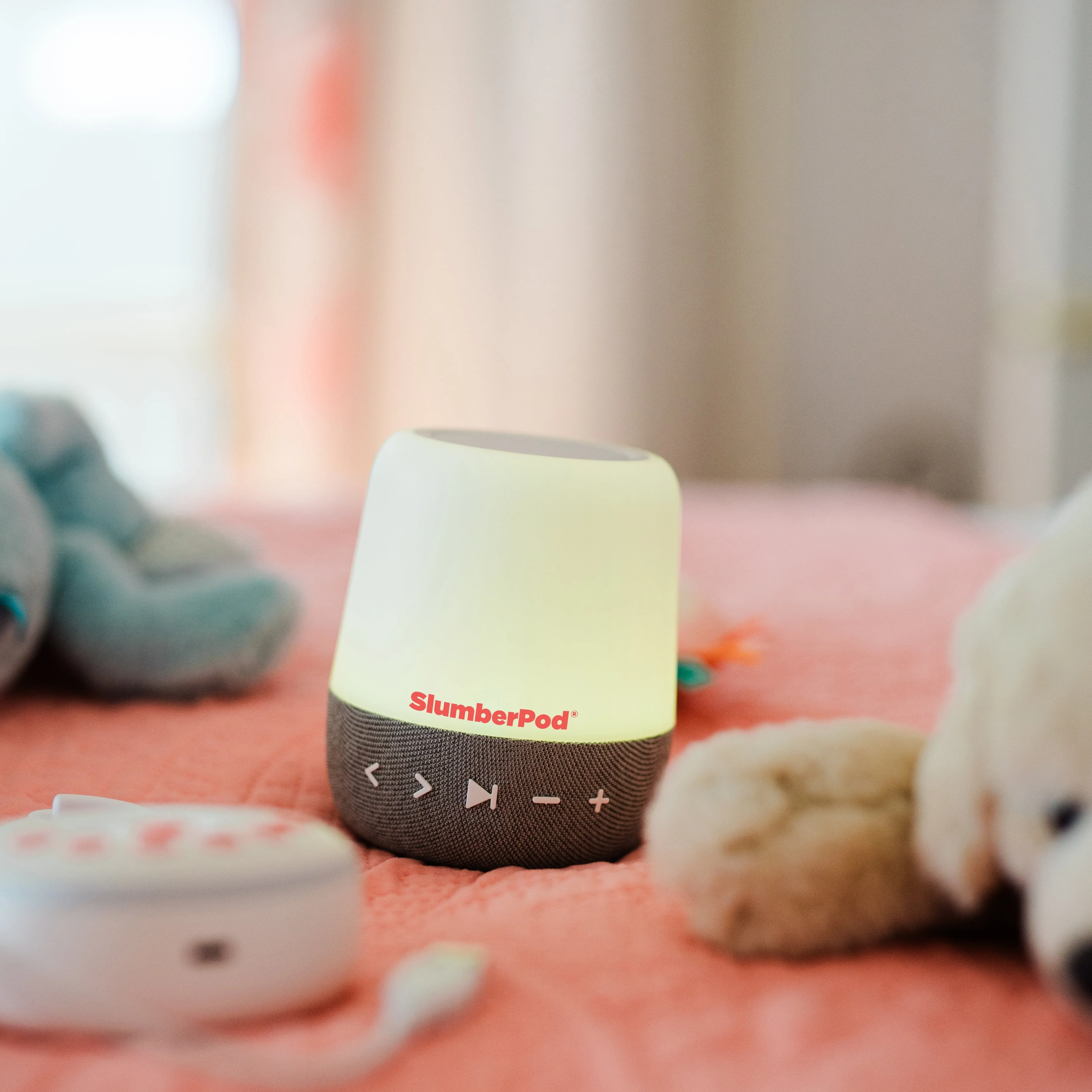 Toddler Time Bundle