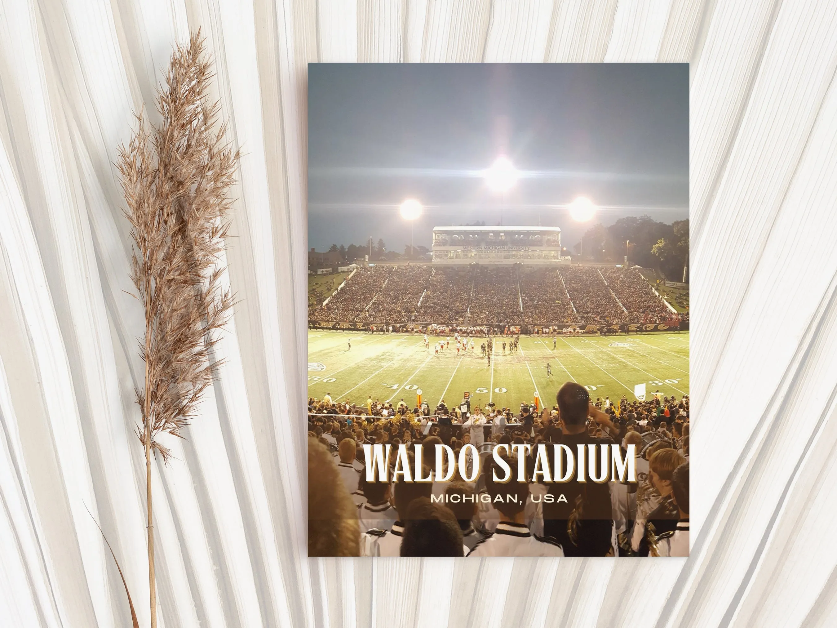 Waldo Stadium Football  Wall Art