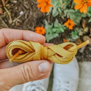 Yellowstone Solid Laces