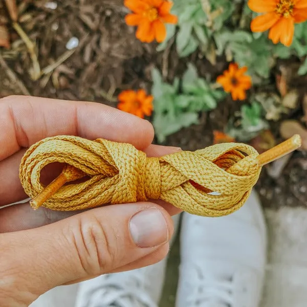 Yellowstone Solid Laces
